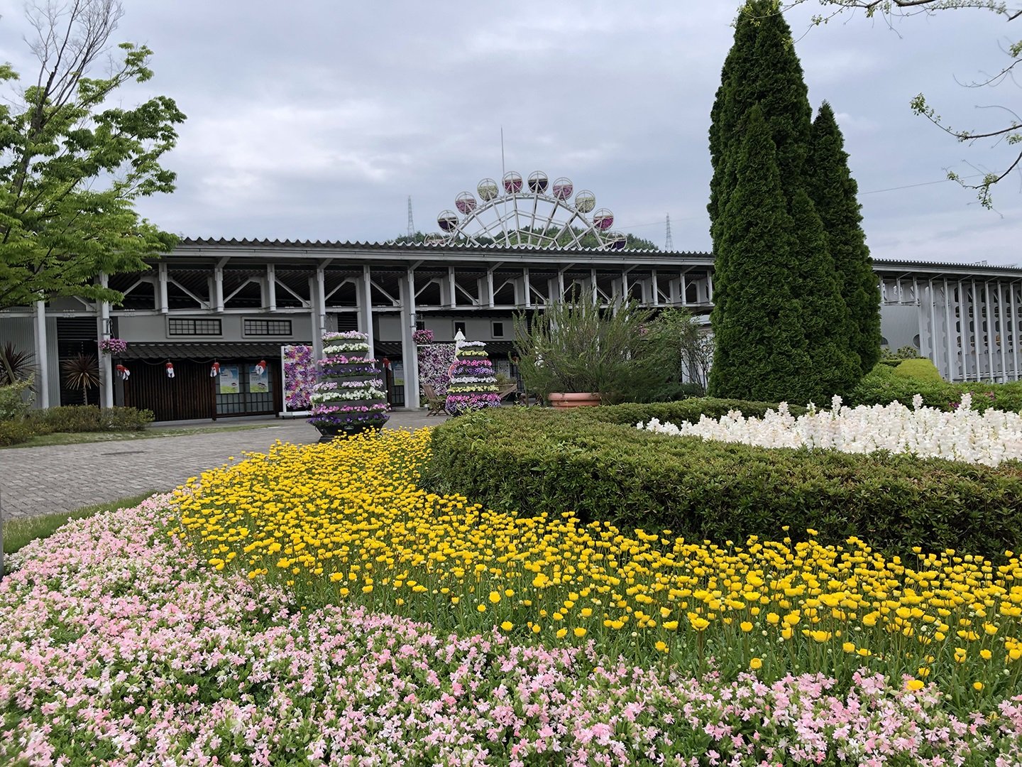 🌸 야마구치 플라워 랜드 이미지 9
